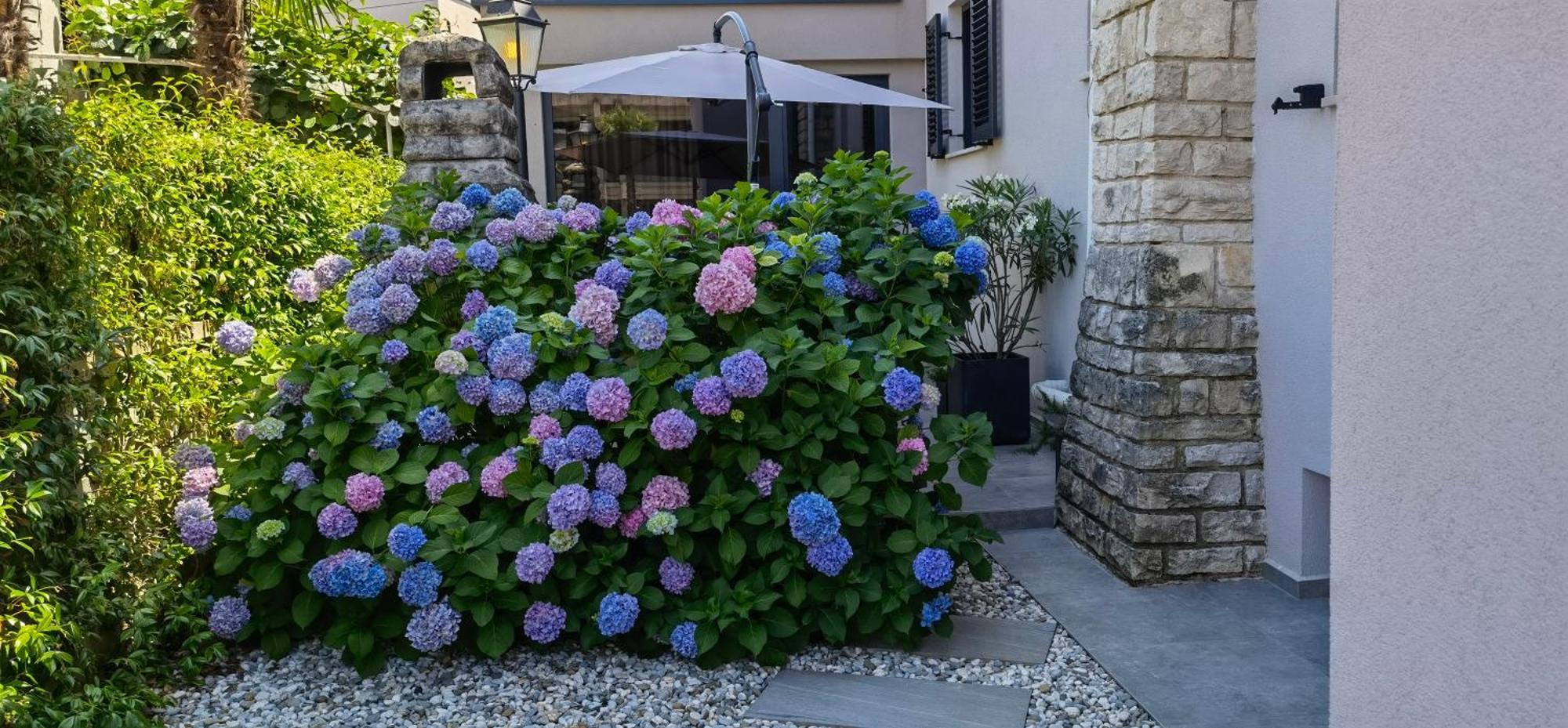 Stay In The Very Heart Of Porec - 50M To The Beach Exteriér fotografie